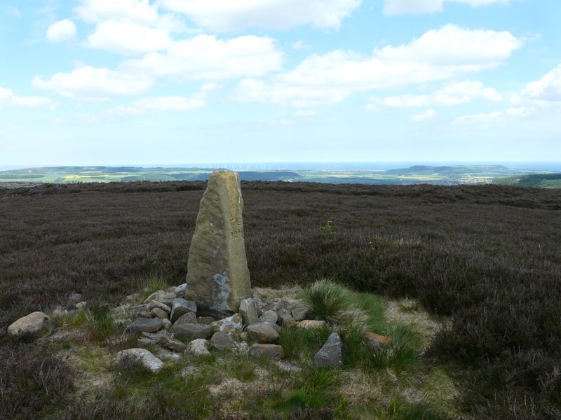 Great Ayton Moor